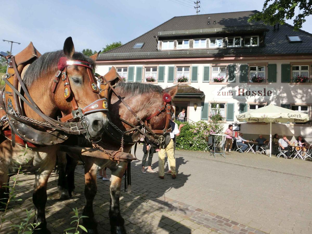 Gasthaus zum Rössle Bollschweil Exterior foto